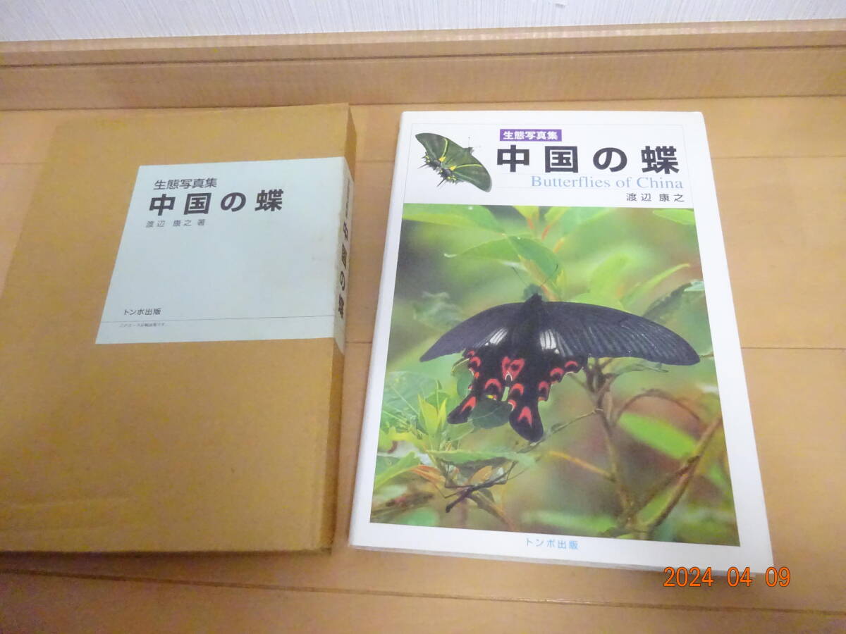 生態写真集 中国の蝶 渡辺康之 トンボ出版 1998年/アゲハチョウ/蝶類/生物学/チベット/ナムチャバルワ峰/四川/広西/雲南/蛾 定価25000円_画像3