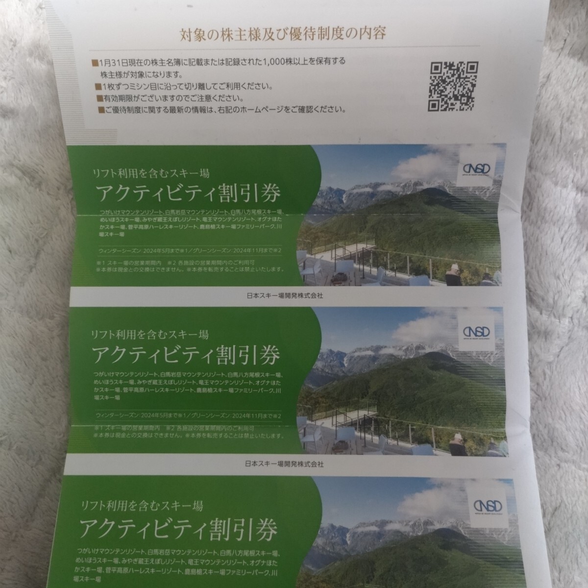 【送料無料】最新 日本駐車場開発 株主優待券（アクティビティ割引券）３枚_画像1