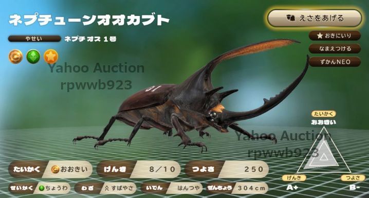 【送料無料】カブトクワガタ スペシャルコード■7点セット■ヘルクレスヘルクレス ネプチューンオオカブトetc 取引ナビにてご連絡(^o^)♪_画像6