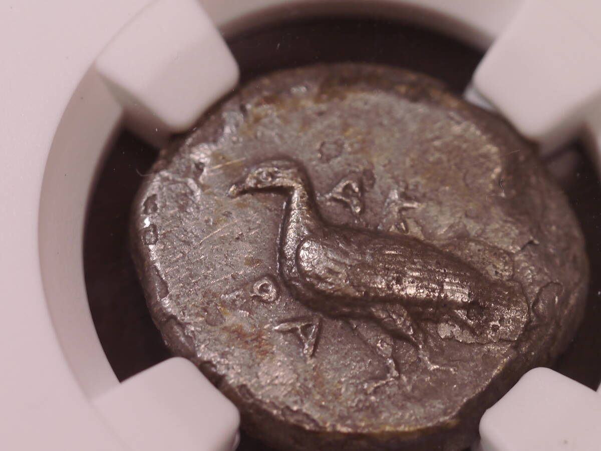 古代ギリシャ　シシリー・アクラガス　カニとイーグル　ディドラマ銀貨　希少　BC500-470 NGC Ch XF Strike5/5　Surface2/5_画像7