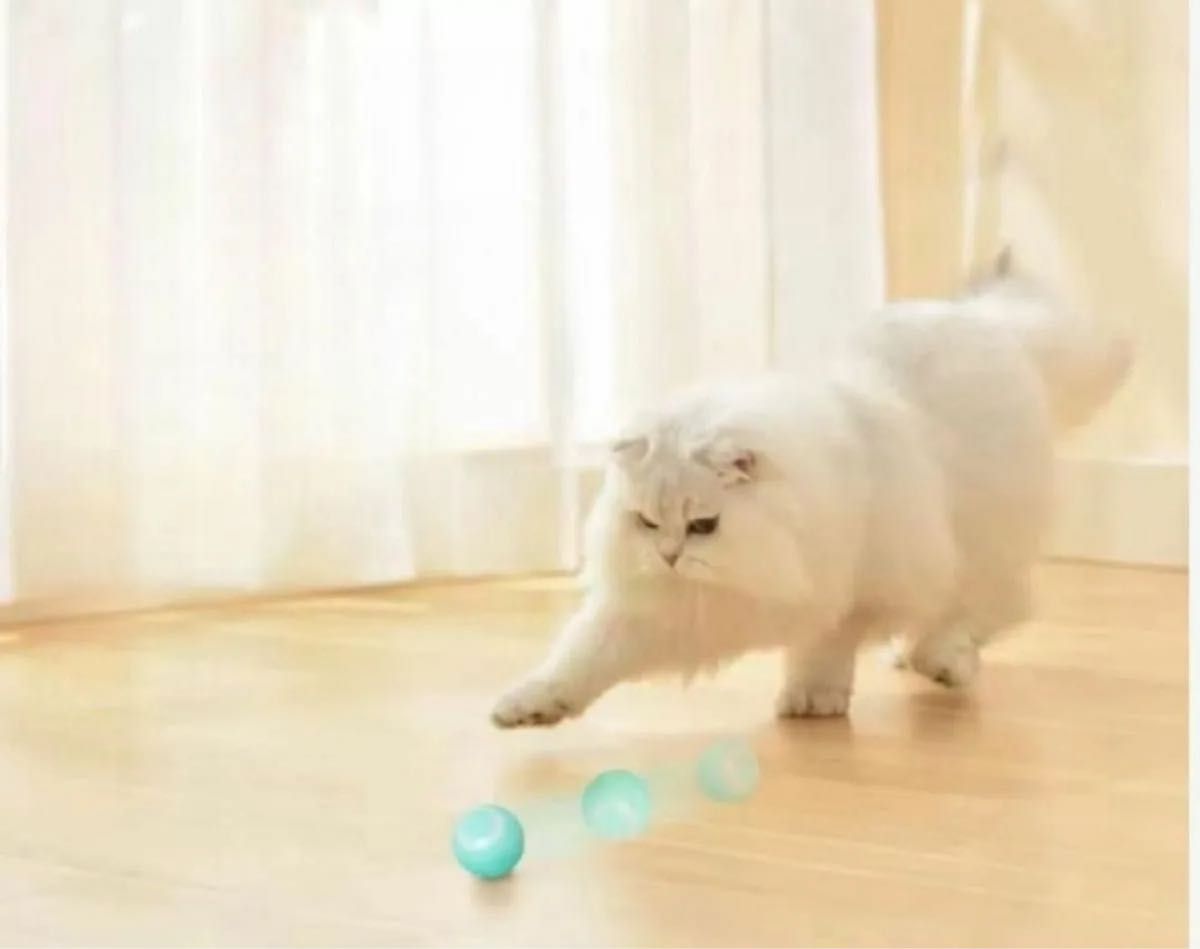 電動 猫おもちゃ USB充電 ストレス発散 自動回避ボール 運動