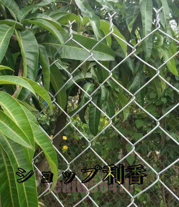  cow .. breeding net dog dog Ran zoo fender s wire link fence iron line fence guard rail . fish . segregation protection 1.2Mx10M