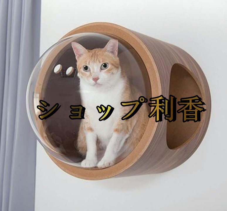  bargain sale popular recommendation cat cat walk cat step bed house wall attaching natural tree cosmos 