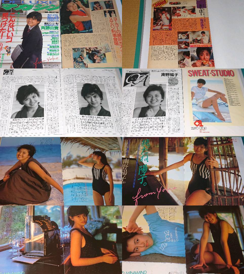 南野陽子 1985年～1991年 大量 切り抜き ファイル 2冊 155P_画像2