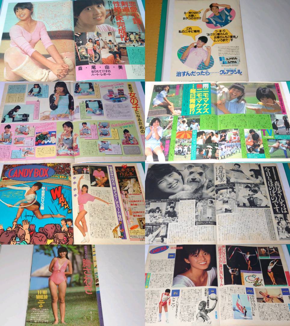 森尾由美　1983年〜1991年　大量　切り抜き　ファイル　1冊　77P_画像2