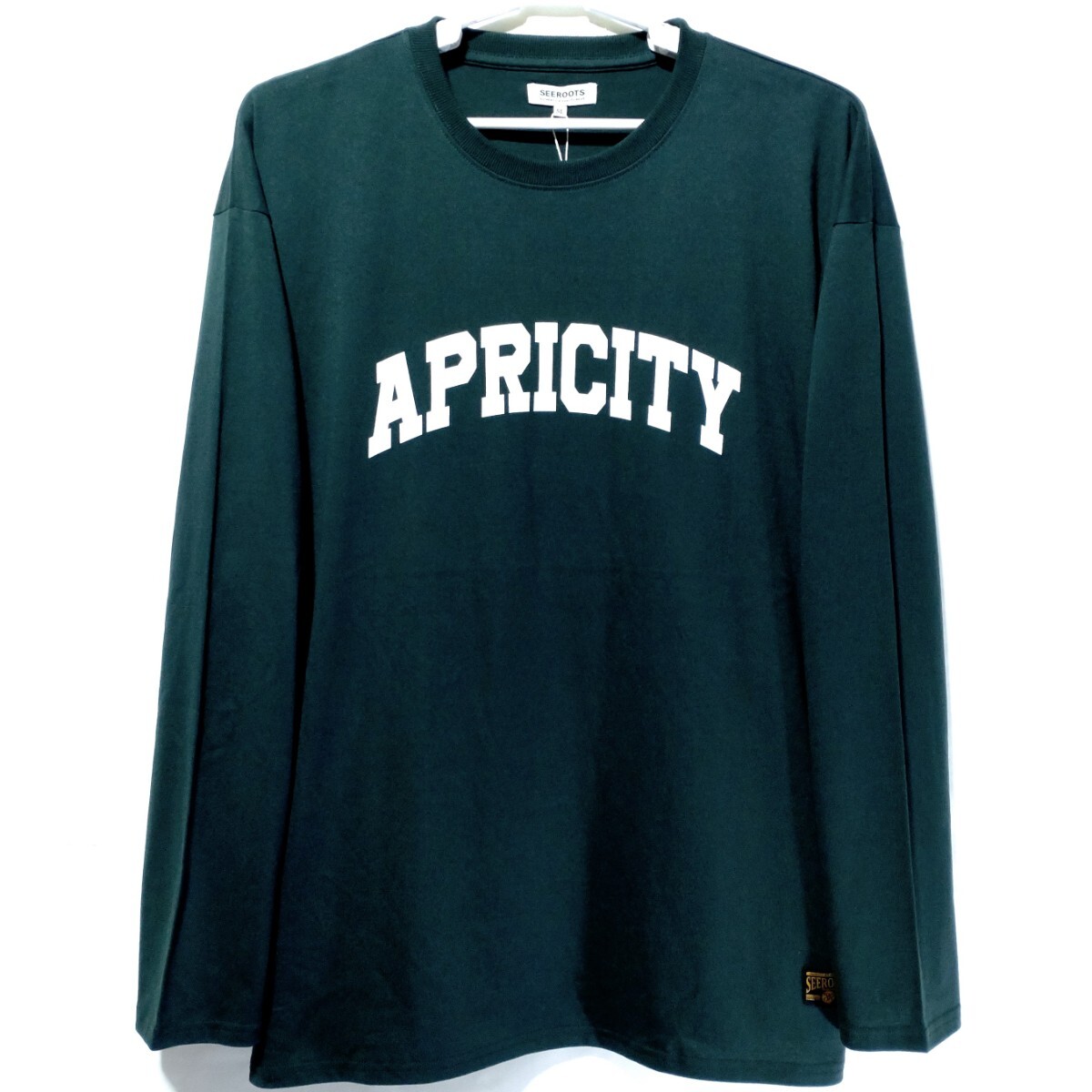 特価/未使用【サイズ=5L(4XL)】英字プリント/メンズ/長袖/Tシャツ/胸囲=116～124cm/dark.green