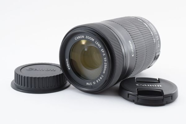 #s20★極上美品★ Canon キヤノン EF-S 55-250mm F4-5.6 IS STMの画像1