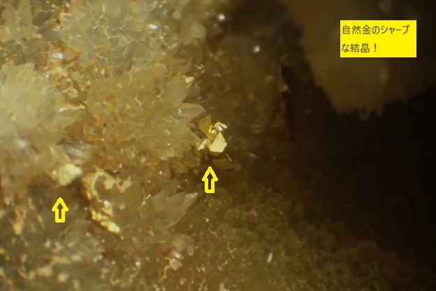 ★【金曜終了】国産鉱物 群馬県天沼鉱山の自然金（シャープな自形結晶！！）★の画像1