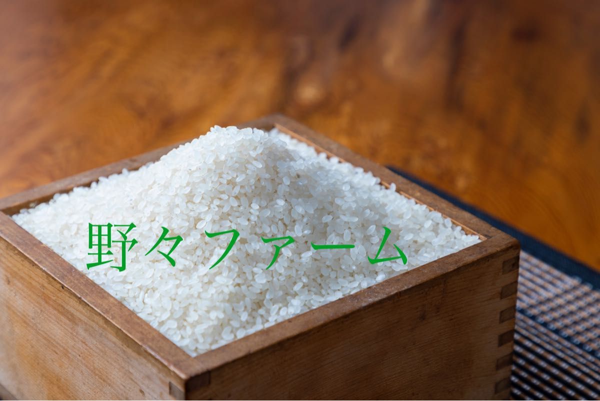 つや姫　10kg 山形　特別栽培米　令和5年