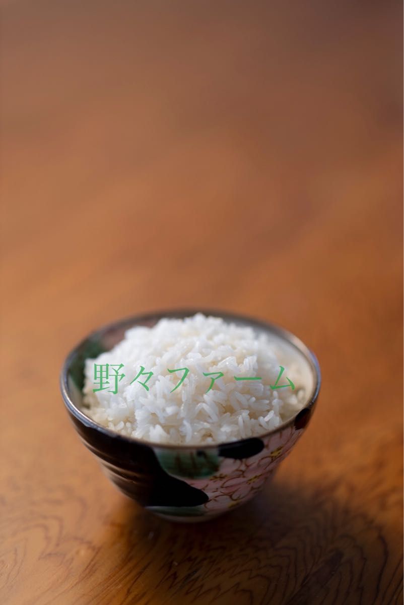 つや姫　10kg 山形　特別栽培米　令和5年
