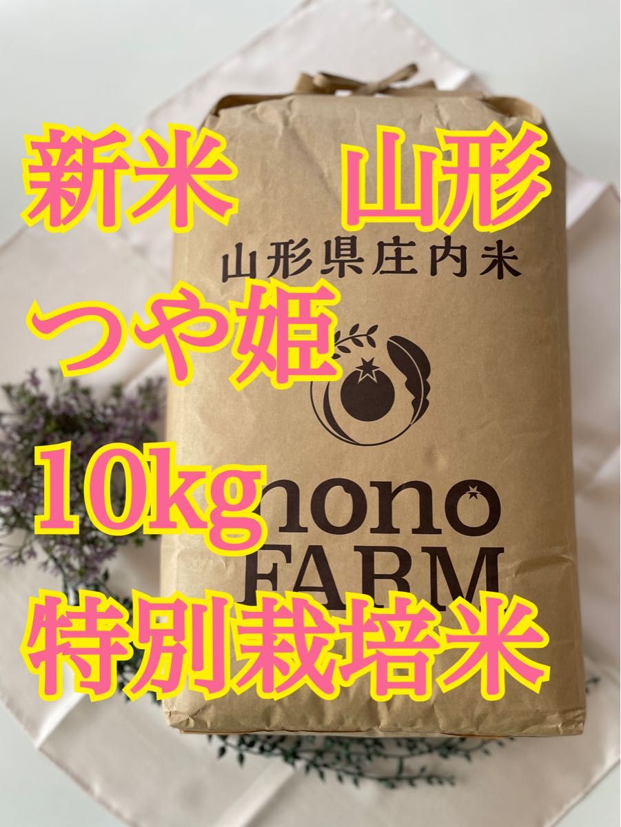 つや姫　10kg 山形　令和5年特別栽培米