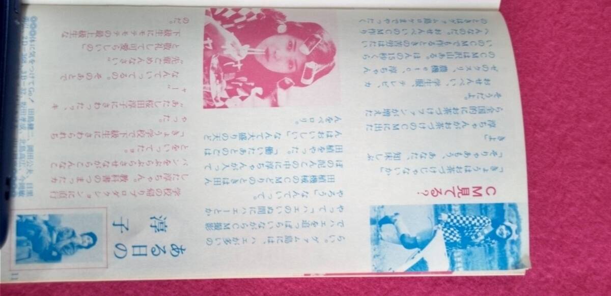 桜田淳子後援会 会誌 さくらんぼ №19 昭和51年 7月10日 匿名配送の画像4