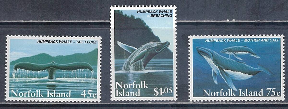 ノーフォーク島 1995年 #573-5(NH) クジラの画像1