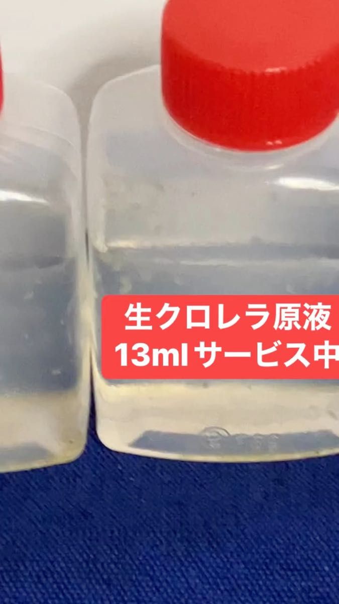 活き餌】クロレラ 培養キット ８００ml｜Yahoo!フリマ（旧PayPayフリマ）