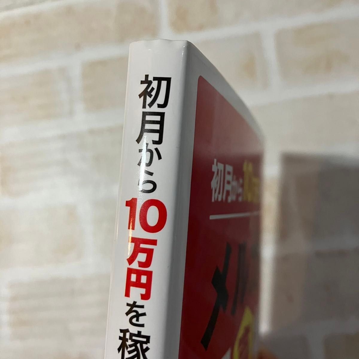 【新品】初月から10万円稼ぐメルカリ転売術 物販 ビジネス 森貞仁