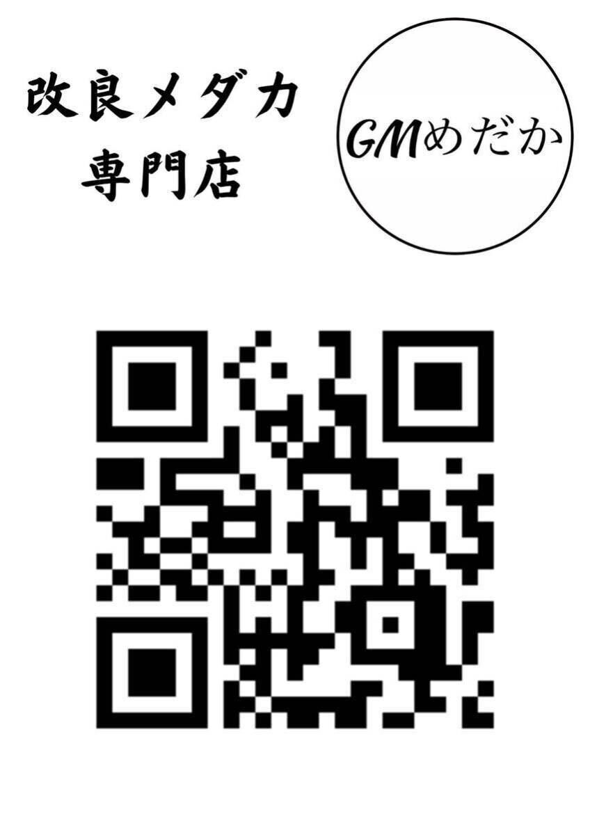 【GMめだか】MIX MIX稚魚 10匹→ ※あんしん保証 メダカ _画像2