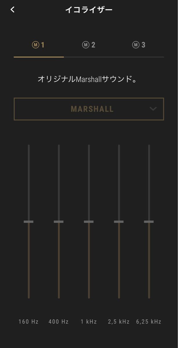 【本体＋ケース】Marshall Minor Ⅲ Bluetoothイヤホン（化粧箱や説明書、充電ケーブルは付属なし）