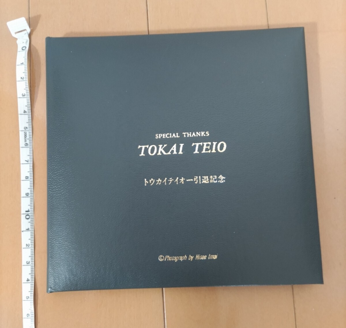  Toukaiteio .. memory SPECIAL THANKS TOKAI TEIO now ... name horse picture frame rare with defect 