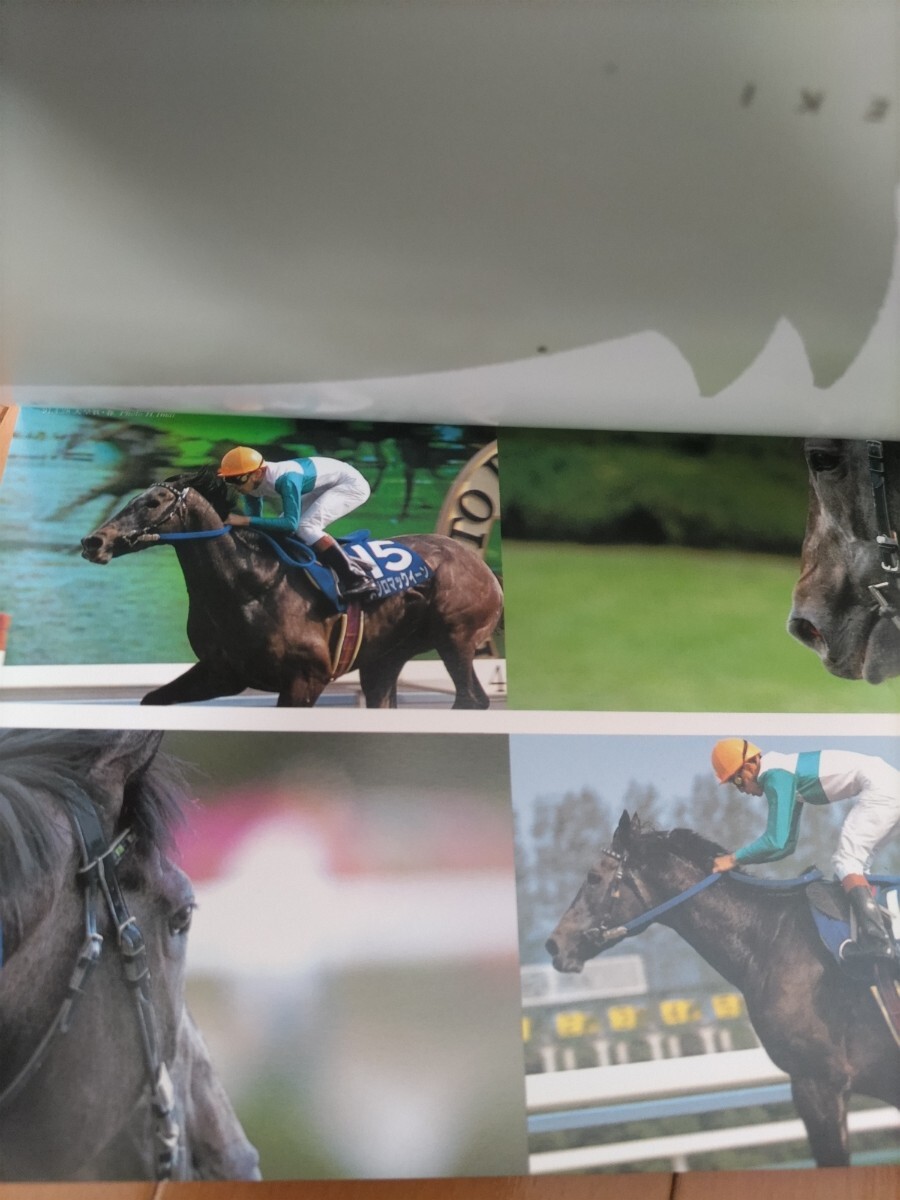 競馬写真 ポストカード集 JRA FACES RACESの画像5