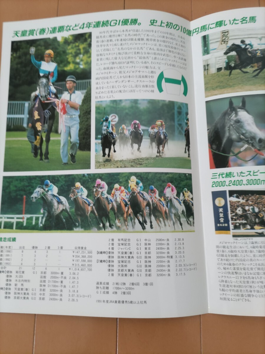 メジロマックイーン　種牡馬カタログ　社台スタリオンステーション　種牡馬パンフレット　_画像3