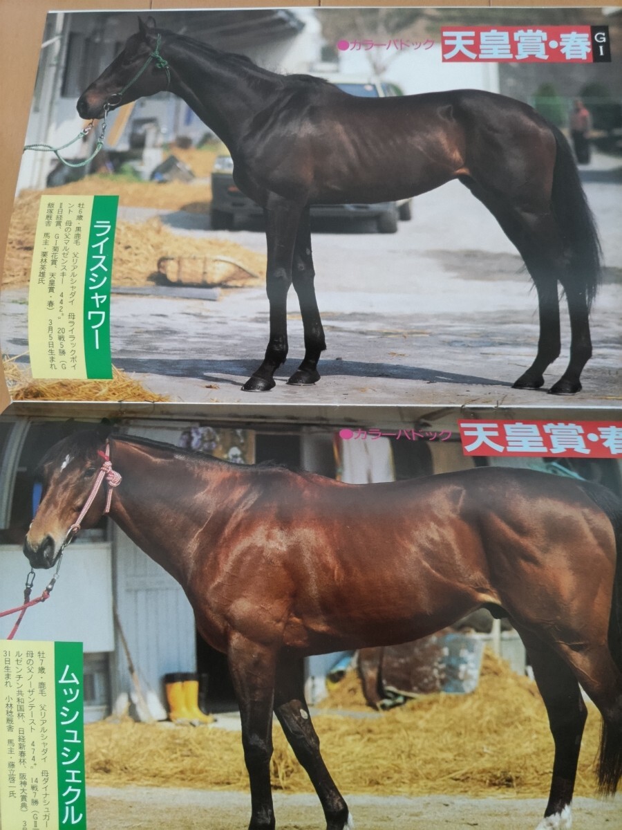 週間競馬報知 平成6年4月28日号 ナリタブライアン ビワハヤヒデ ライスシャワー ナイスネイチャの画像5