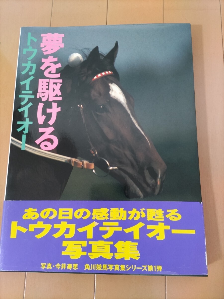 トウカイテイオー 夢を駆ける 写真集 今井寿恵 角川競馬写真集 初版の画像1