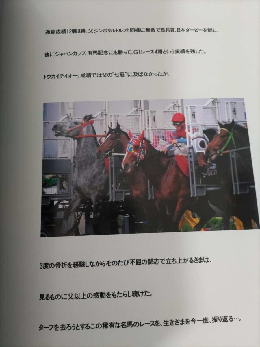 優駿グラフ トウカイテイオー 栄光の蹄跡 引退記念 特別編集 PRC 初版 競馬 名馬の画像5