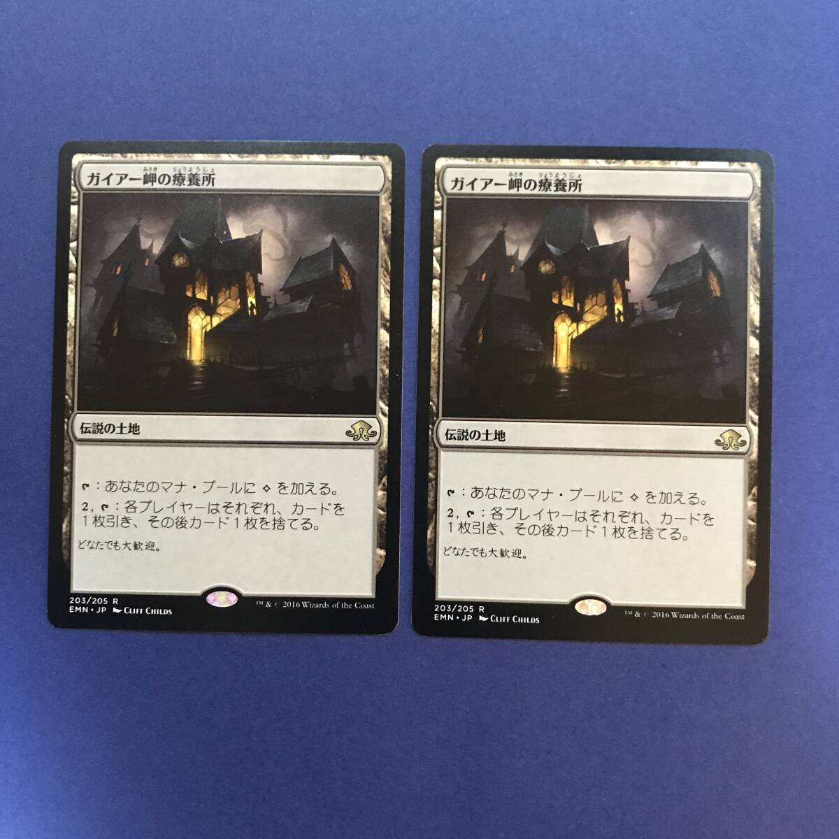 MTG/ガイアー岬の療養所/Geier Reach Sanitarium/日本語/2枚の画像1