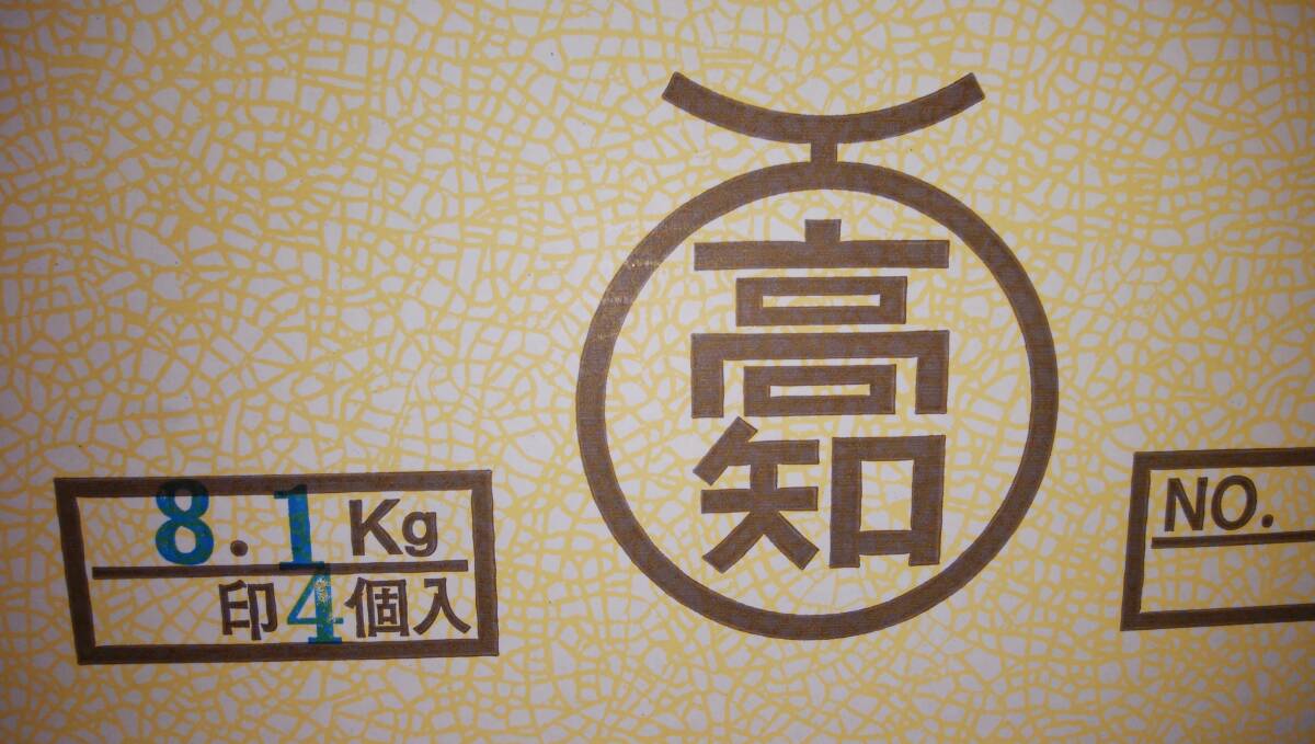 1円～【高知県産】 夜須メロン  4玉  約8.1～8.5㎏の画像8