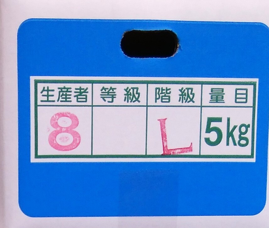 １円～【高知県産】 宿毛小夏 Lサイズ 約５㎏ ～家庭用～の画像3