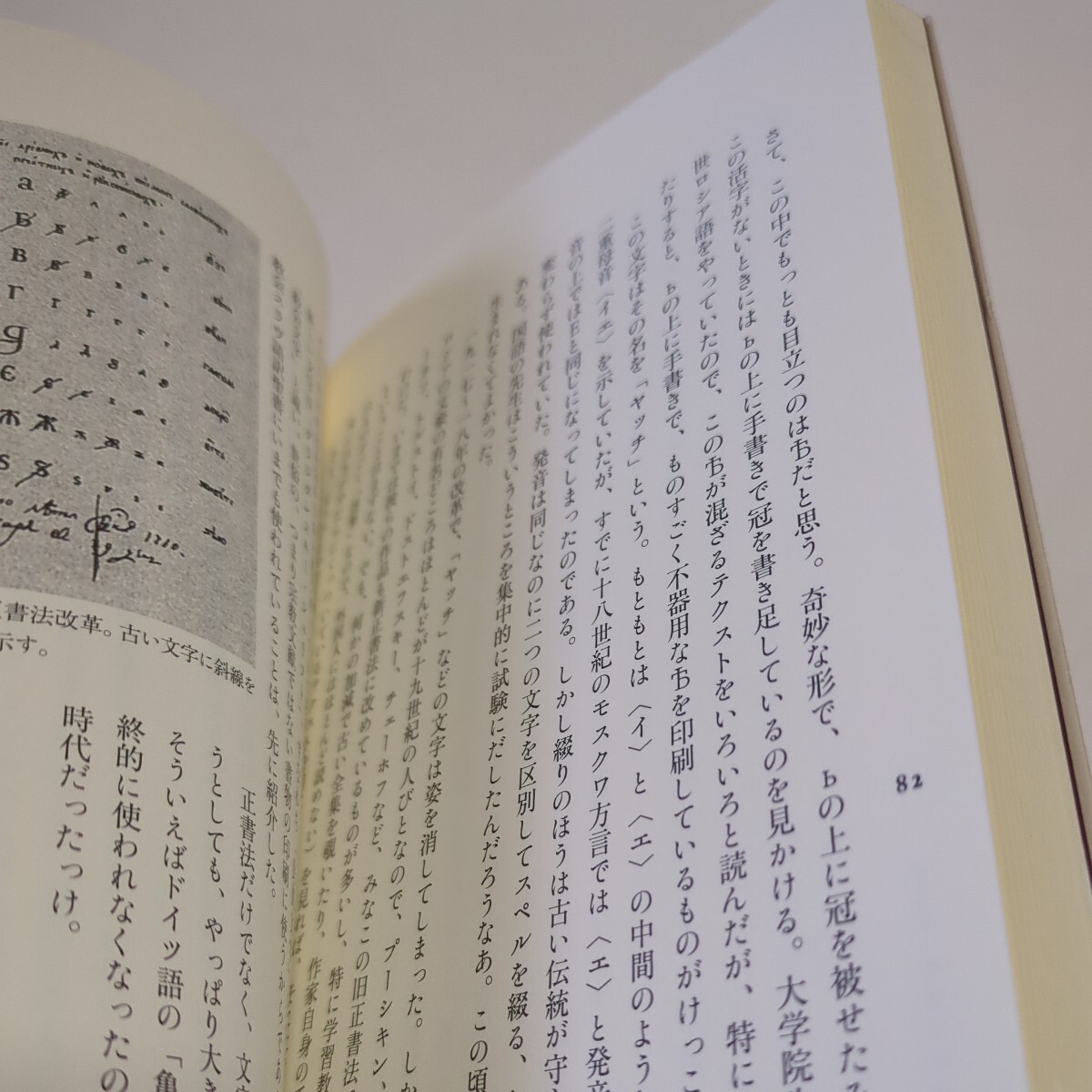 羊皮紙に眠る文字たち再入門 黒田龍之助 白水社 中古 ロシア語 言語学 03511F011_画像7