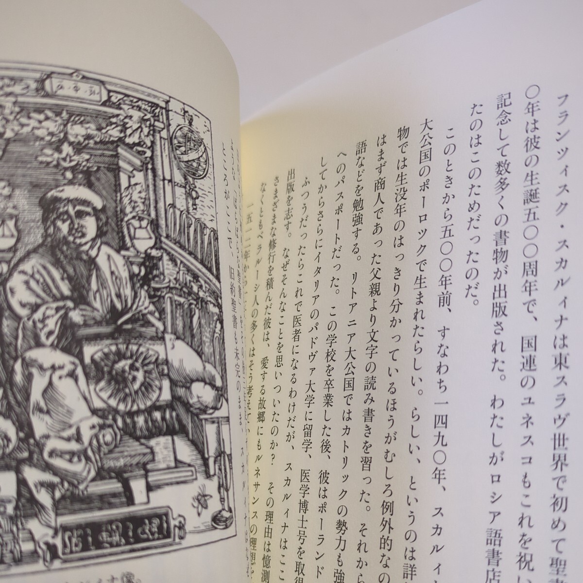 羊皮紙に眠る文字たち再入門 黒田龍之助 白水社 中古 ロシア語 言語学 03511F011_画像8