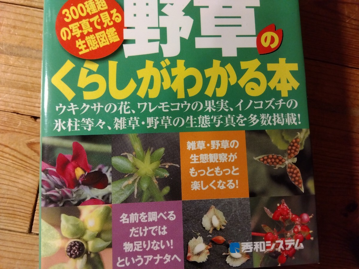 ⑦雑草の本【街でよく見かける雑草や野草のくらしがわかる本】水草まで網羅、447頁、外観から細かな部位まで、送料230円、＃朝来佐嚢＃の画像7