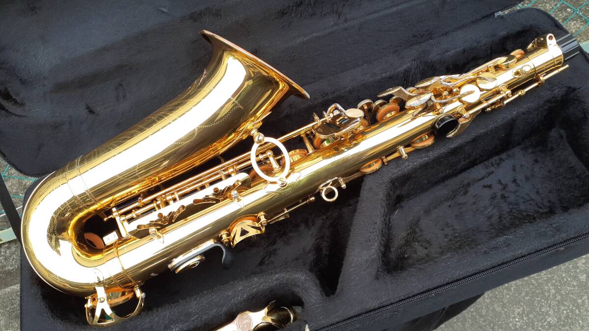 DeYu デユー Saxophone 16159 アルトサックス 管楽器 ケース付の画像3