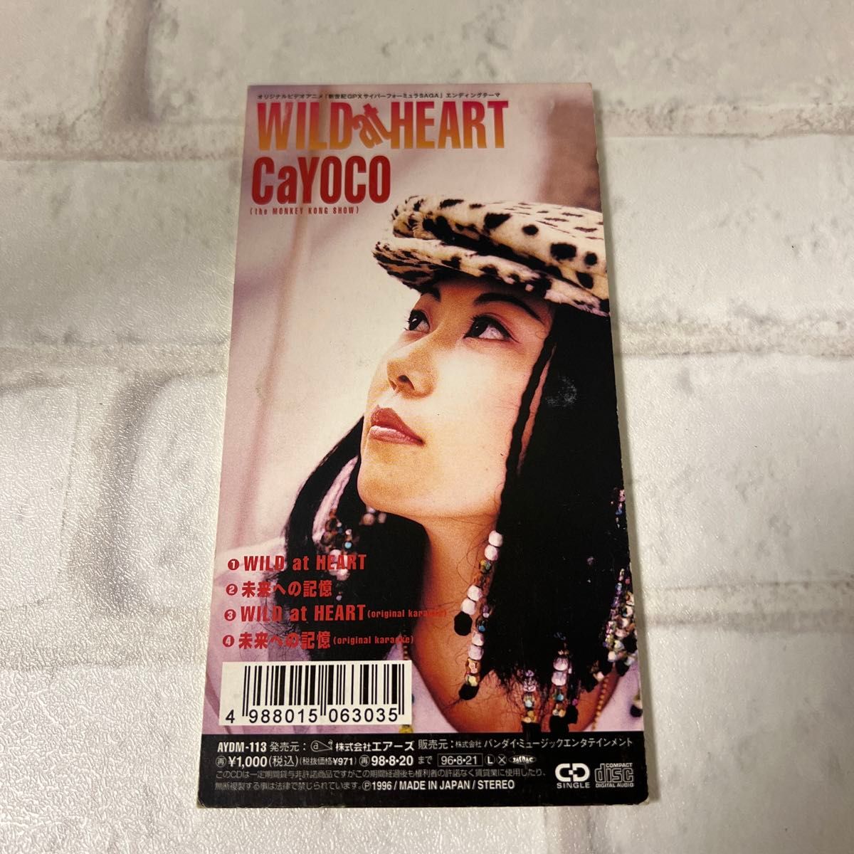 CaYOCO/WILD at HEART 新世紀ＧＰＸサイバーフォーミュラ