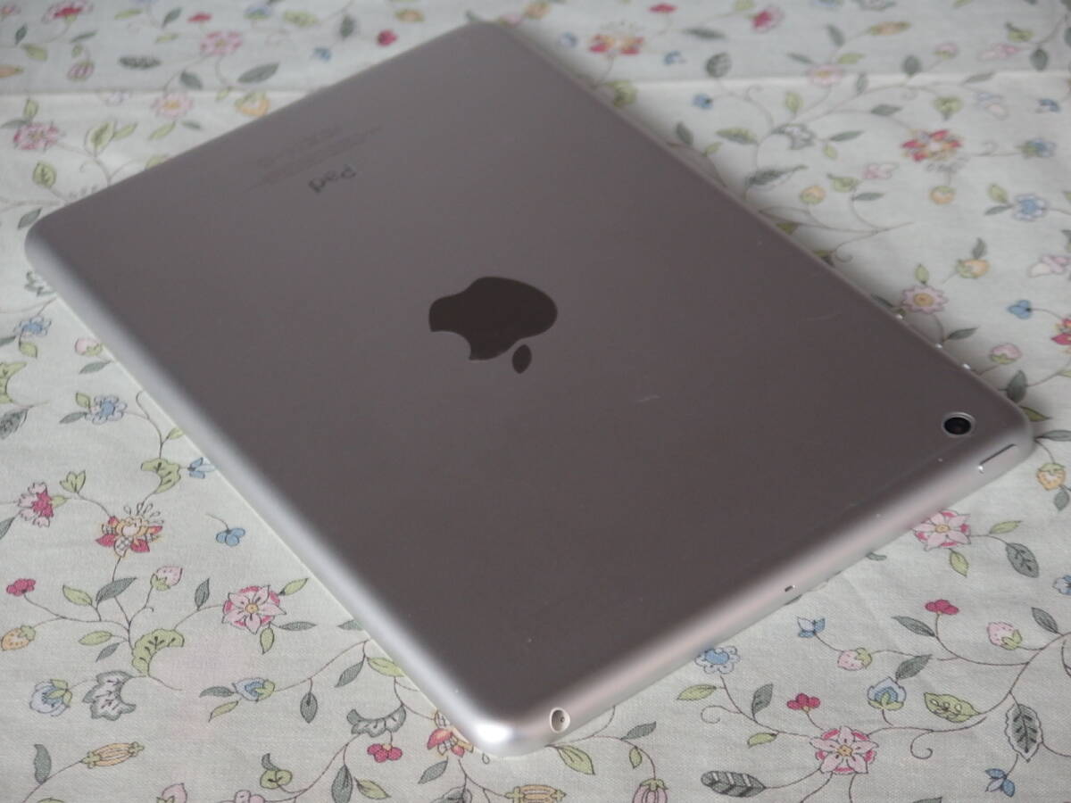 ☆彡 美品　Apple　iPad mini　A1432　64GB　《Wi-Fiモデル》 ホワイト＆シルバー_画像10