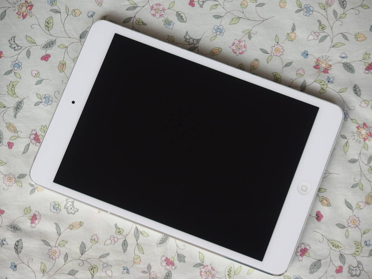 ☆彡 美品　Apple　iPad mini　A1432　64GB　《Wi-Fiモデル》 ホワイト＆シルバー_画像5