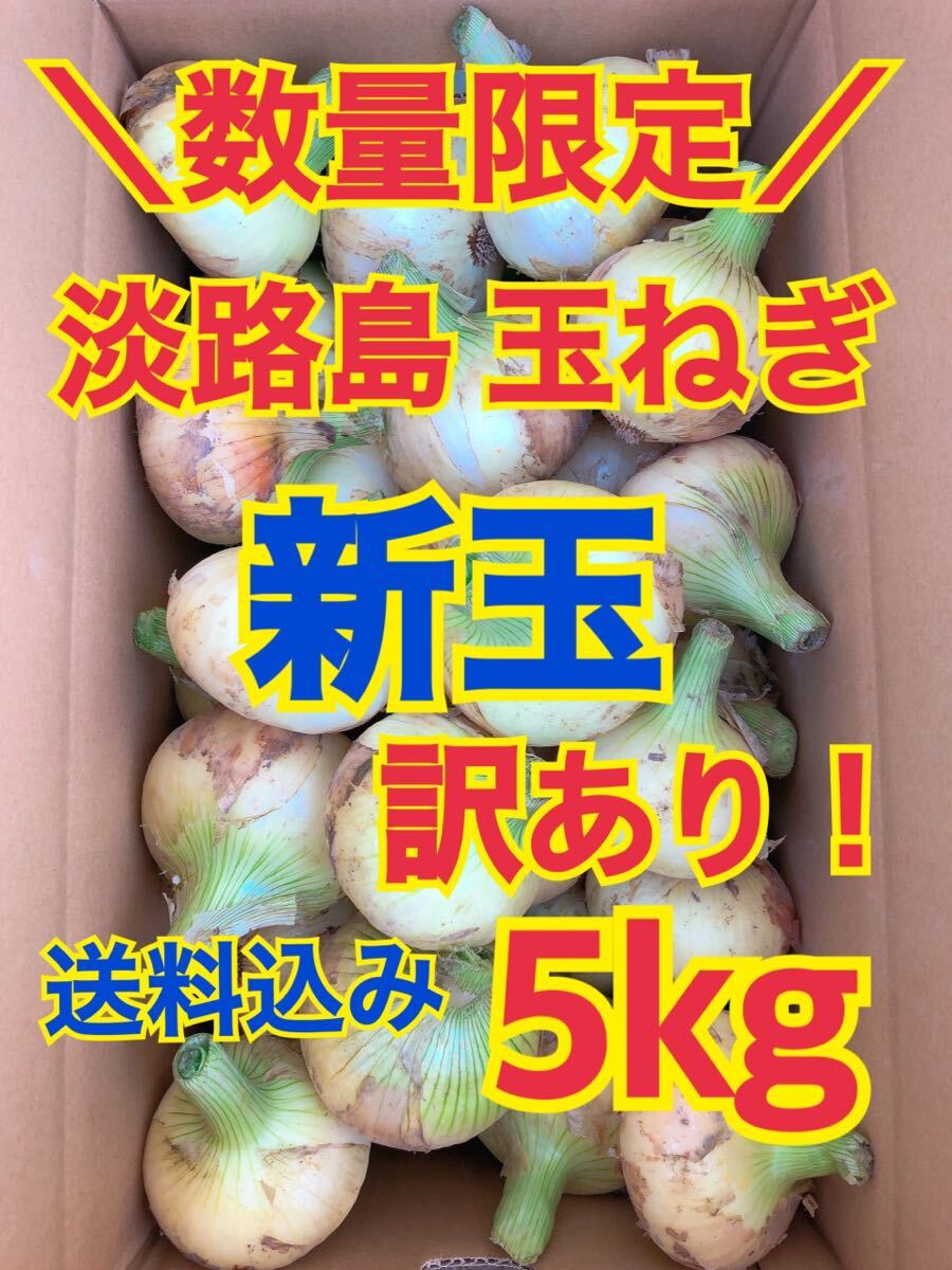 淡路島 玉ねぎ 玉葱 新玉 5kg 送料込み 農家直送 南あわじ 訳あり _画像1