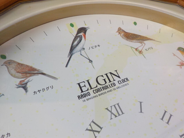 TIN●○中古 ELGIN 野鳥電波掛け時計 CASIO 2点セット 6-4/2（あ）の画像4