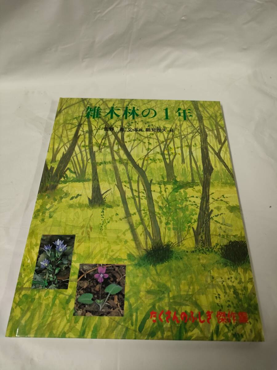 たくさんのふしぎ傑作集　雑木林の1年　菅野徹:文・写真/鶴見雅夫:絵　福音館書店◆ゆうメール可　6*6_画像1