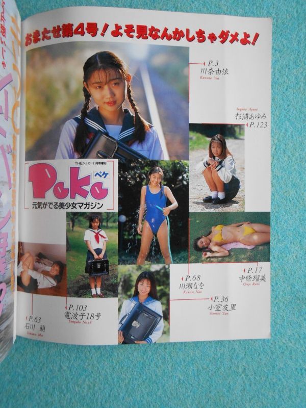 [53] Peke ペケ 1995年 ＴＨＥシュガー11月号増刊 サン出版 | 電波子18号 他_画像3