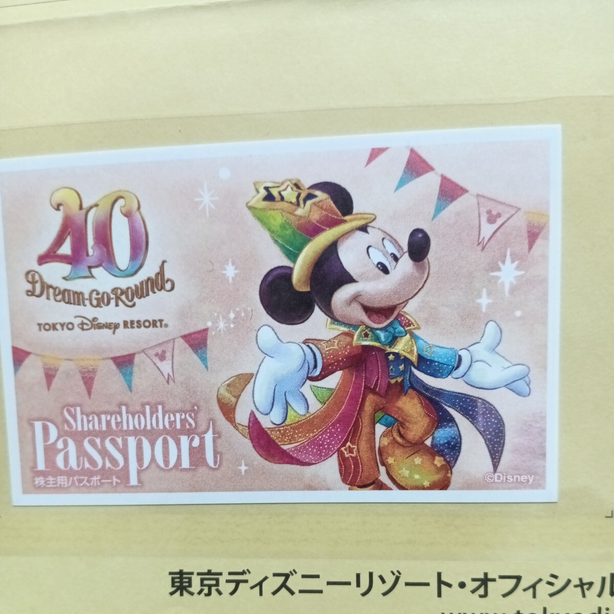 東京ディズニーリゾート 株主優待パスポートチケット 1枚 送料無料 ディズニーランド(TDL) ディズニーシー(TDS)の画像1