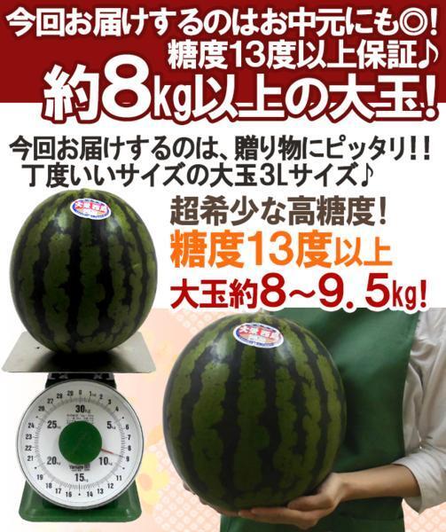 （予約）限定1玉！鳥取【大栄すいか プレミアム】糖度13度以上！！！！の画像5