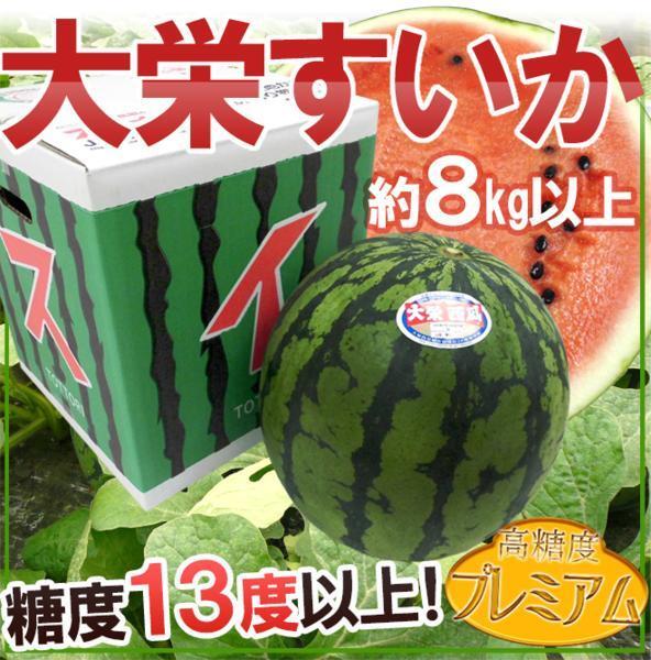 （予約）限定1玉！鳥取【大栄すいか プレミアム】糖度13度以上！！！！_画像8