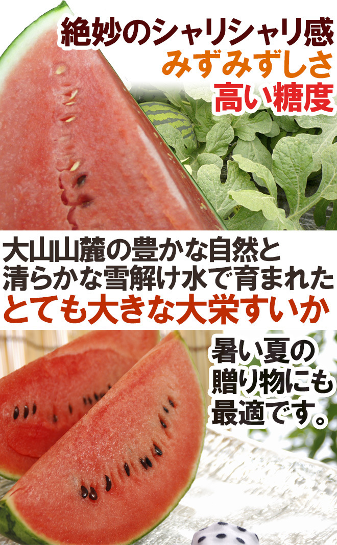 （予約）限定1玉！鳥取産【大栄すいか】特大 なんと!10ｋｇ以上！！！！の画像6