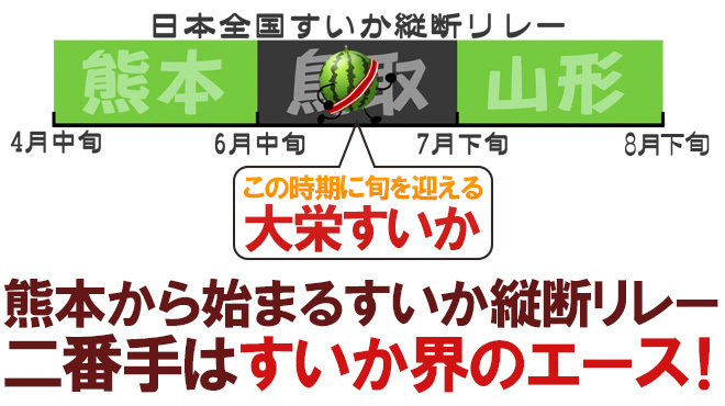 （予約）限定1玉！鳥取産【大栄すいか】特大 なんと!10ｋｇ以上！！！！の画像2