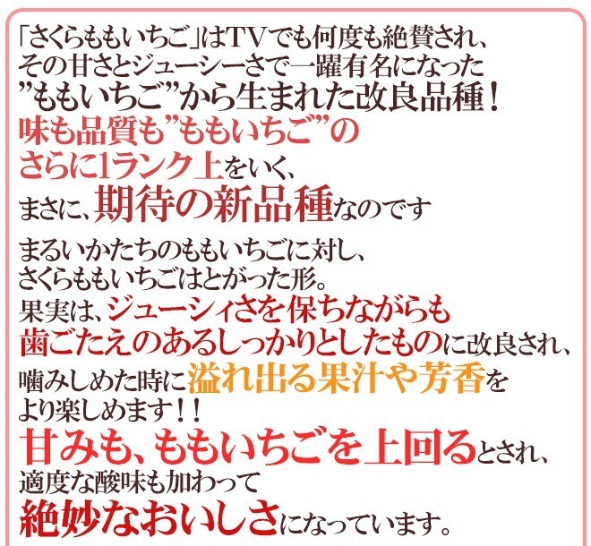 （予約）限定1箱！徳島県佐那河内村 幻の【さくらももいちご】4pc！！！！の画像3