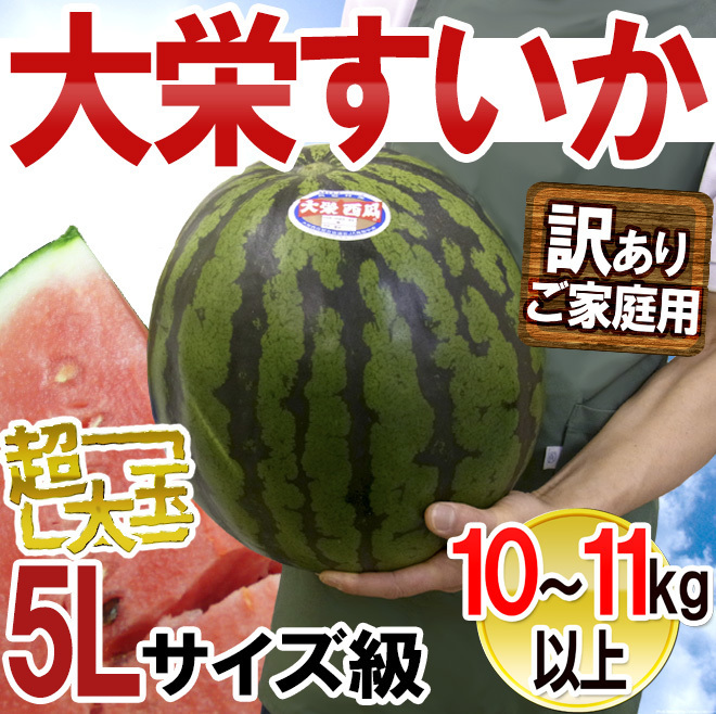 （予約）限定1玉！鳥取産【大栄すいか】特大 なんと!10ｋｇ以上！！！！の画像1