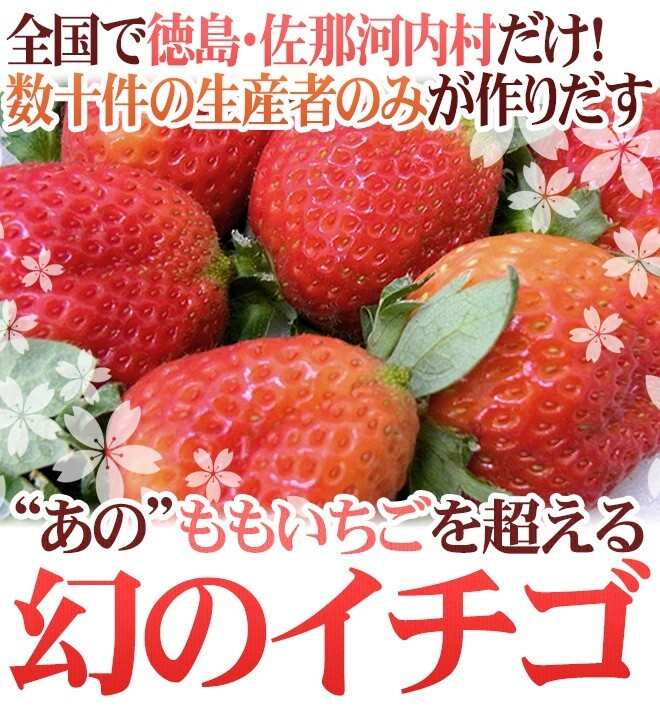 （予約）限定1箱！徳島県佐那河内村 幻の【さくらももいちご】4pc！！！！の画像2