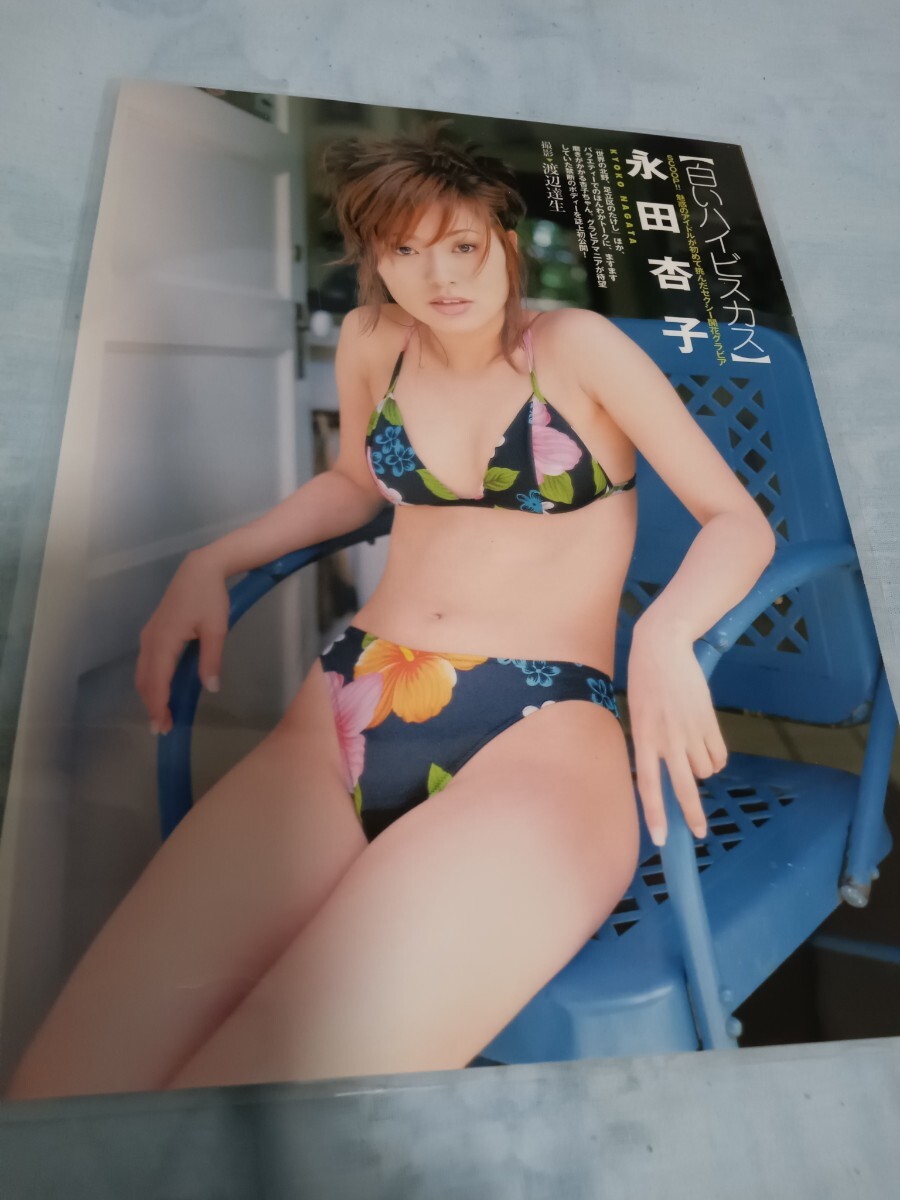 150μ 厚手ラミネート加工 切り抜き A4変 永田杏子 白いハイビスカス 7ページ 水着姿_画像3